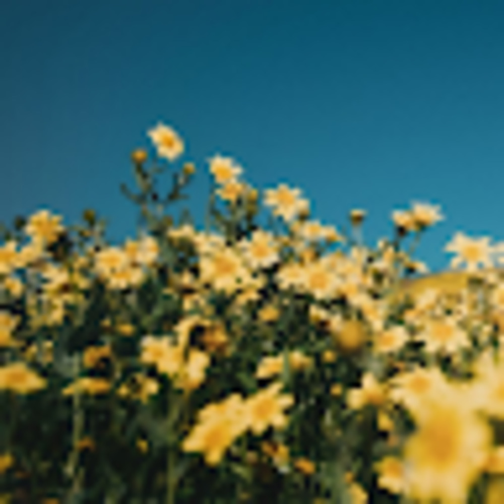 Meet your Posher, Alyson